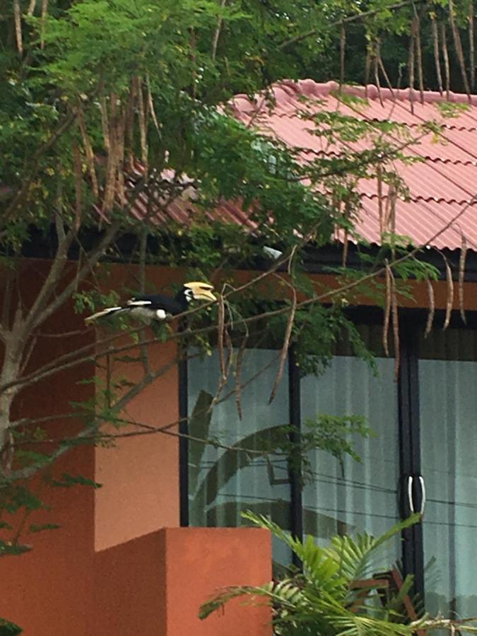 Baansuan Amaleena Ko Yao Noi Eksteriør bilde